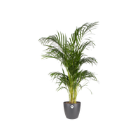 brussels rond 25cm antraciet